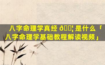 八字命理学真经 🐦 是什么「八字命理学基础教程解读视频」